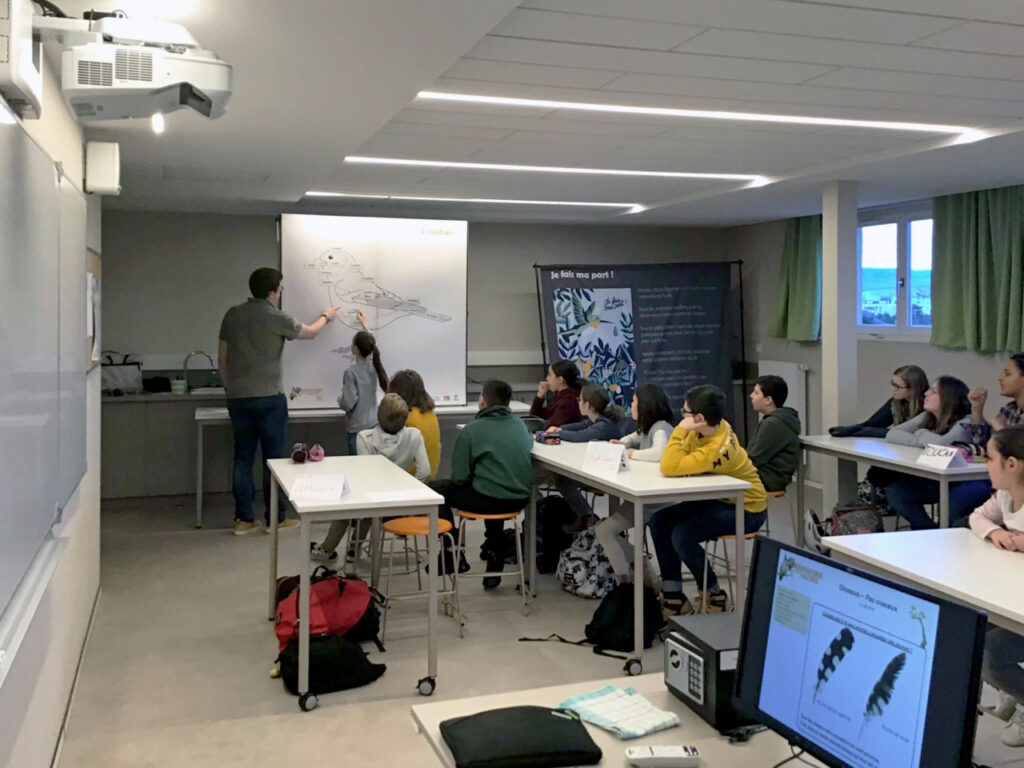 Ecole et collège Institut Assomption Colmar